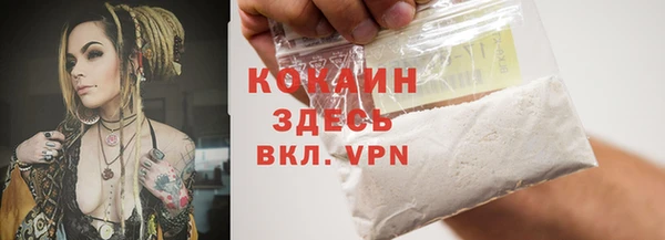 кокс Ельня
