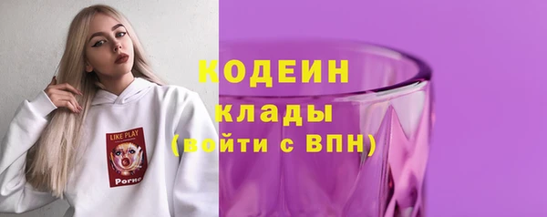 кокс Ельня