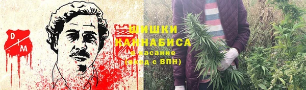 кокс Ельня