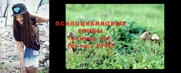 кокс Ельня
