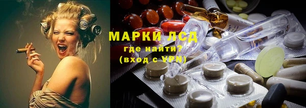 спиды Нефтекумск